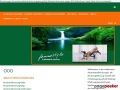 Informationen zur Brustverkleinerung