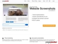 SEO Consult